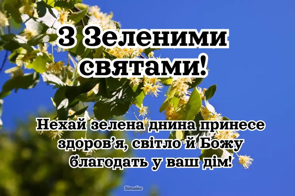 З Зеленими святами 2025. Гарні картинки та листівки